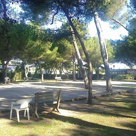 Campsite Intuition 3 Ch, 2 Sdb - Confort Et Serenite Au Quotidien, Entre Et Campagne Lattes